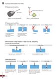 1030 G Technical Information for TPDC O Precautions when setting \ Max 0 02 mm Setting of the horizontal equipment O Precautions when drilling Ramping Каталог KORLOY 2020 Режущий и вспомогательный инструмент для станков ЧПУ и универсальных Фрезы с СМП Сверла твердосплавные Резцы токарные Пластины сменные режущие Стр. G30